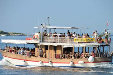 Ab Poreč: Abendliche Delfin-Bootsfahrt mit Begrüßungsgetränk