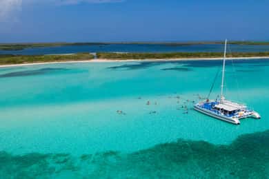Cozumel: El Cielo, Palancar Reef, and Beach Party with Food