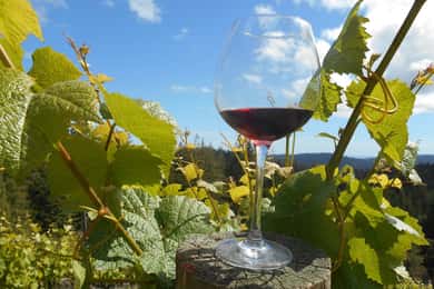 Carmel Valley Wine Tasting Tour