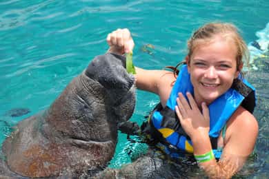 Cozumel: Manatee Encounter, Chankanaab Admission and Buffet