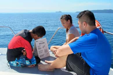 RAID Open Water 20 dykkerkursus 3-dages | Kota Kinabalu