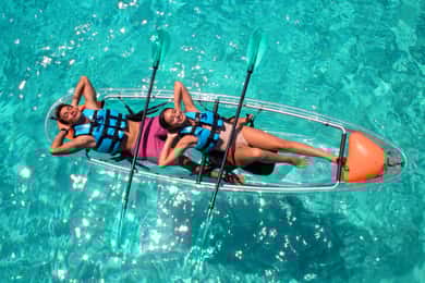 Cancun: Dolphin Swim and Garrafon Reef Park Tour with Buffet