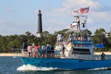 Crucero panorámico por la bahía y los delfines Hasta 49, Pensacola
