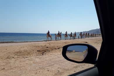 Von Sharm El Sheikh: Ganztägiger Ausflug nach Dahab mit Schnorcheln