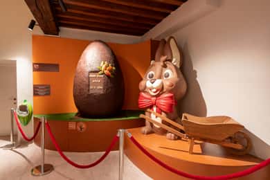 Visita guiada al Museo del Chocolate Choco-Story con degustaciones
