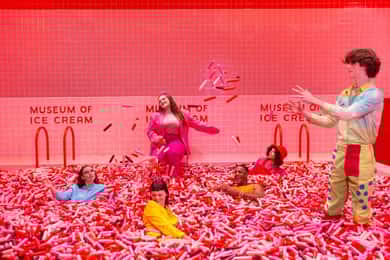 Museum of Ice Cream Admission Ticket