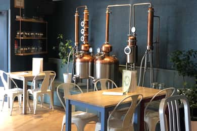 Дегустация джина с гидом на 56 North Distillery