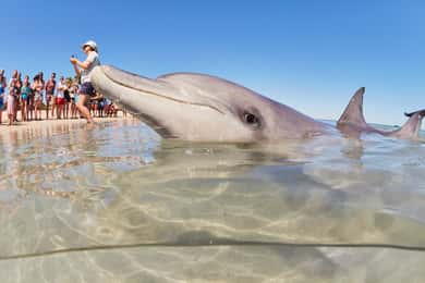 Perth: 4-Day Coastal Loop to Monkey Mia with Accommodation
