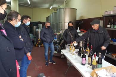 Salou: Priorat-proeverij met wijnkeldertour en ophaalservice vanaf je hotel