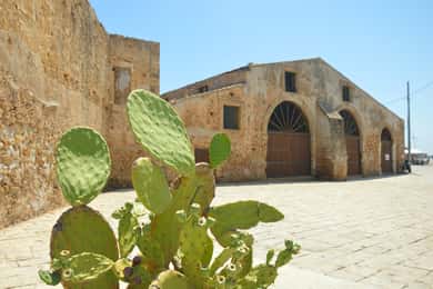Vanuit Catania: Syracuse, Ortigia & Marzamemi Dagtour