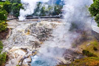 São Miguel: Excursão ao Vulcão das Furnas e à Plantação de Chá com Almoço