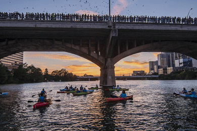 Austin: Congress Avenue Sunset Bat Kayaking Tour