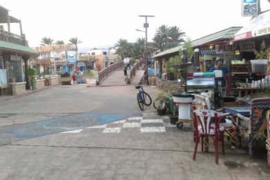 From Sharm: Dahab Day Trip with Desert Safari and Camel Ride