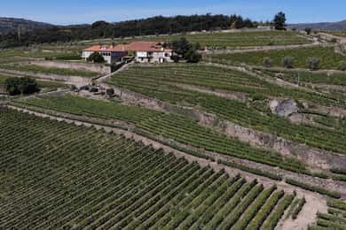 Quinta da Portela de Baixo vingårdstur och vinprovning