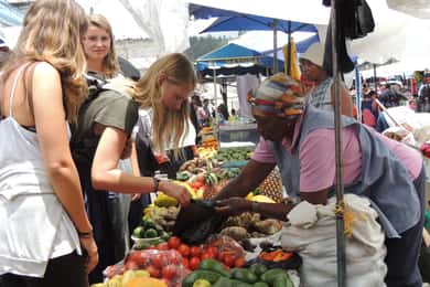 From Quito: Otavalo Indian Market and Rose Farm Shared Tour
