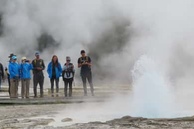 Yellowstone: Upper Geyser Basin Hike with Lunch