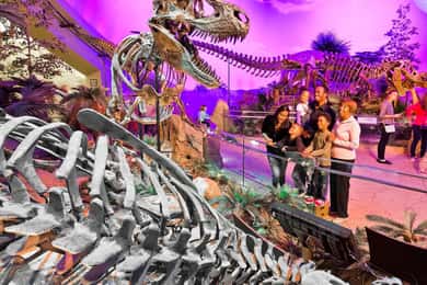 Indianápolis: Indy Attraction Pass de 3 días