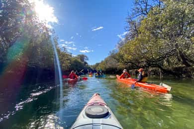 Dolphin Sanctuary and Ships Graveyard Kayak Tour