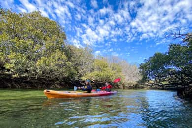 Adelaide: Dolphin Sanctuary 1 or 2-Person Kayak Rental