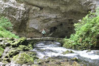 Lubiana: tour delle grotte di Škocjan, Rakov Škocjan e delle paludi
