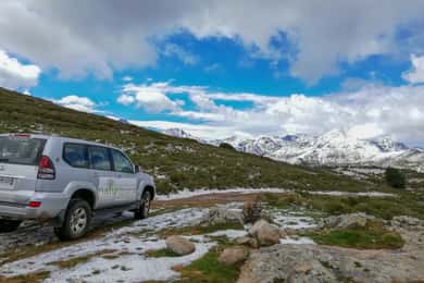 Calvi: Asco Valley 4x4 Day Tour with Guide