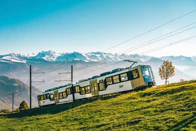Monte Rigi: Pase de un día