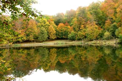 Group Tour: Dilijan, Parz Lake, Makaravank, wine factory
