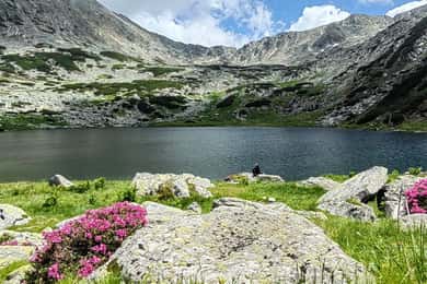 Retezat-Nationalpark: Ganztägige Wanderung ab Cluj Napoca