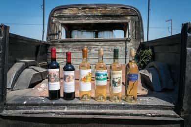 Rodi: tour della cantina ed esperienza di degustazione