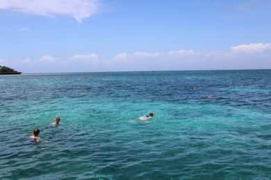 Circuit de plongée en apnée sur l'île de Tumbatu : au départ de Kendwa & Nungwi