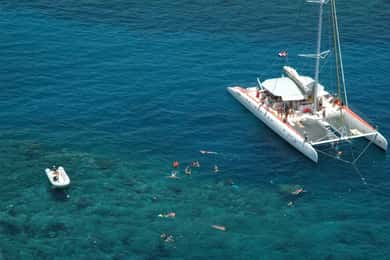Puerto Plata: Viagem de 1 dia em Catamarã Sosúa com almoço e bebidas