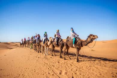 Fra Fez: 2-dages tur til Marrakech via Merzouga-ørkenen
