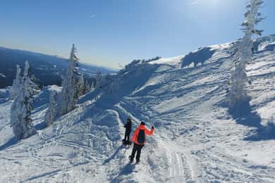 Mount Arber: guidad tur med snöskor i den bayerska skogen