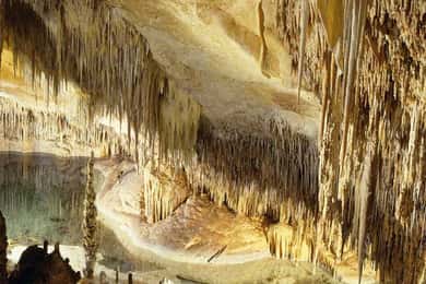 Mallorca: Ticket for Caves of Drach with Pickup Service
