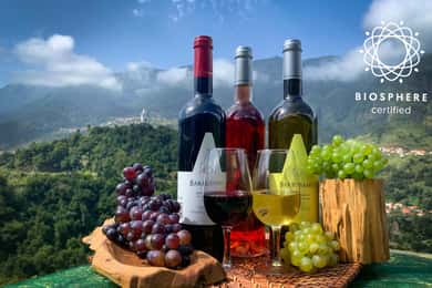 Madeira: Cabo Girão, degustazione di vini e tour in jeep della Serra d'Água