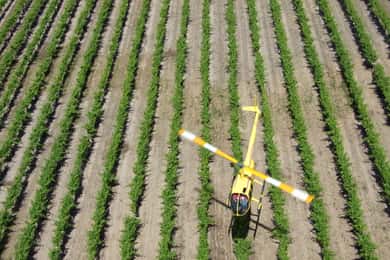 Barossa Valley: 10-Minute Scenic Helicopter Flight