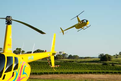 From Lyndoch: Barossa Valley 15-Minute Helicopter Flight