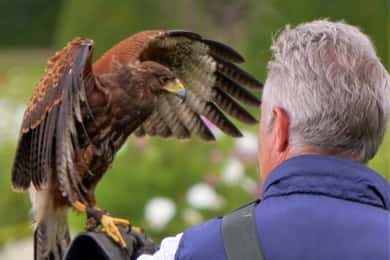 Inverness: Relaxed Private Northern Scottish Highlands Tour