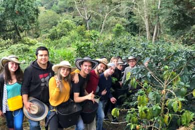 Salento: Private Cocora Valley, Salento & Coffee Farm Tour