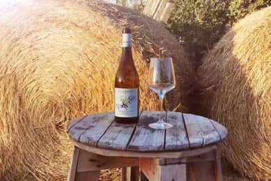 Santa Maria Imbaro: La Vinarte Wine tour