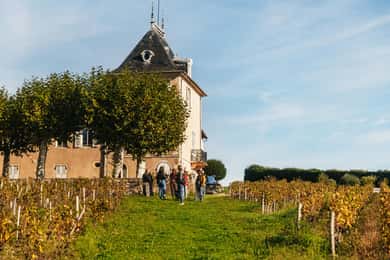 From Lyon: Beaujolais Wine Tour with Tastings