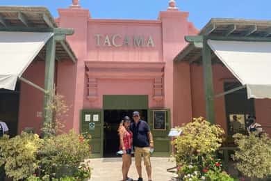 De Ica ou Huacachina: tour de vinhos e vinhedos de pisco