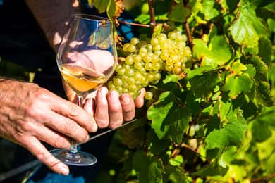 Flot: Provence Village Tour med vinsmagning og smagning af vin og råvarer