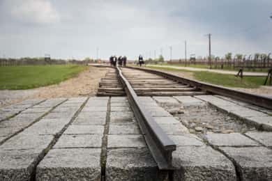 From Krakow: Auschwitz Birkenau Tour with Transfer