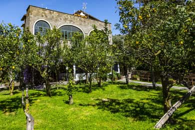 Sorrento: Coast E-Bike Tour with Limoncello Tasting