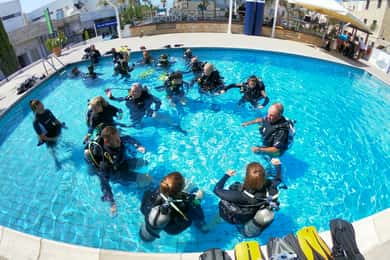 Paphos : Visite d'une demi-journée à la découverte de la plongée sous-marine