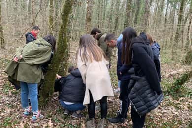 Livade: Geführte Wanderung zur Trüffelsuche