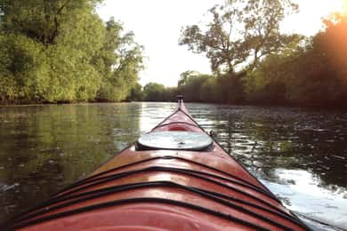 Bremen: Full-Day Kayak Rental on the Wümme River