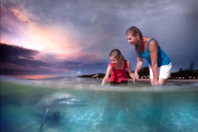 Moreton Island: Tangalooma ATV fyrhjuling & delfinmatning