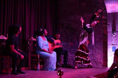 Barcelona: Flamencoshow in Palau Dalmases